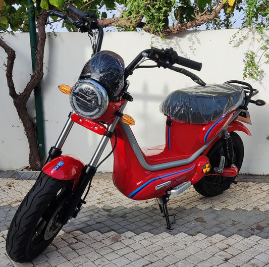 Vortex Goose - X-ONE 250W (Bateria de SLA)