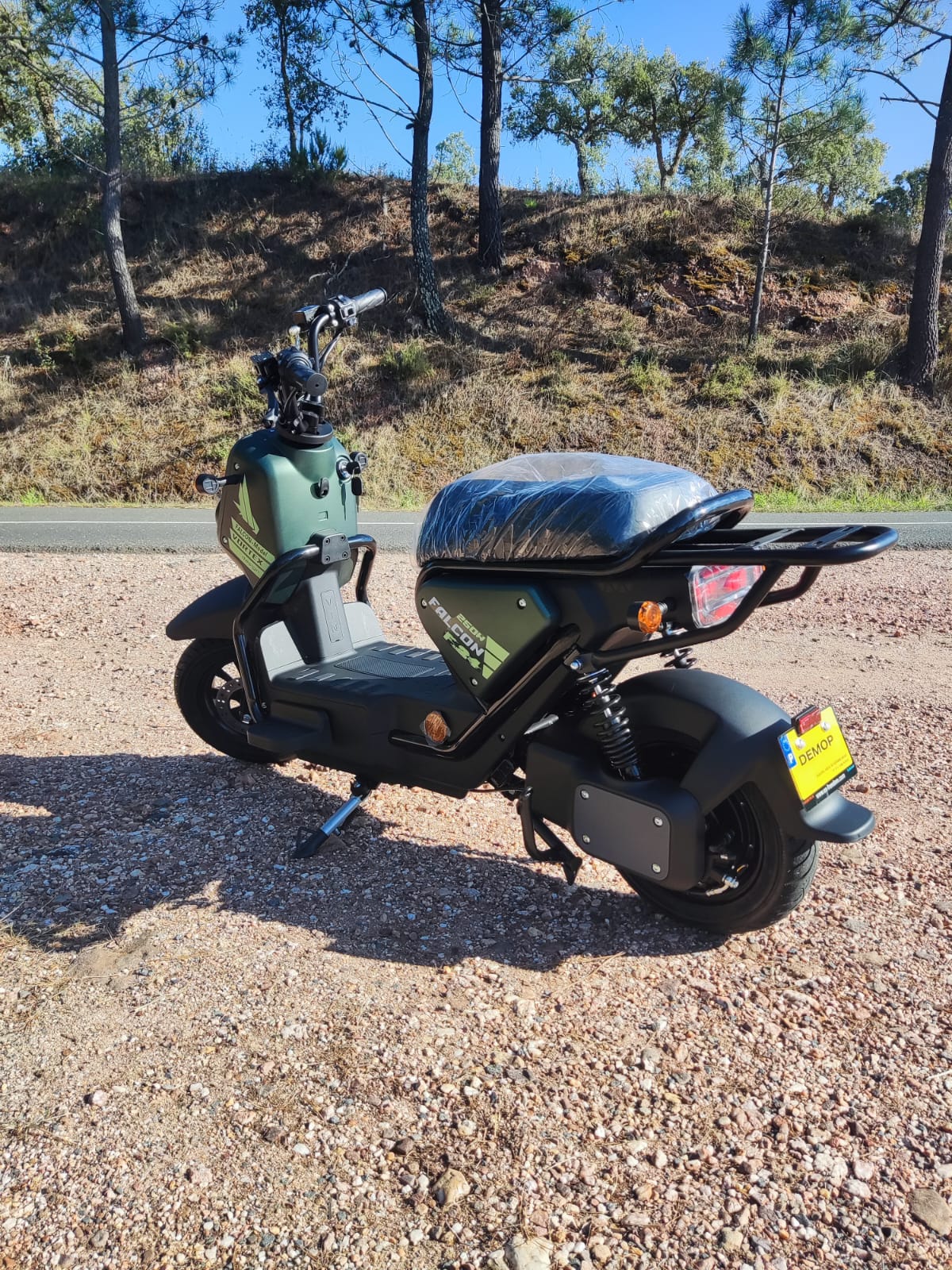 Vortex Goose - FALCON 250W (SLA Battery) 