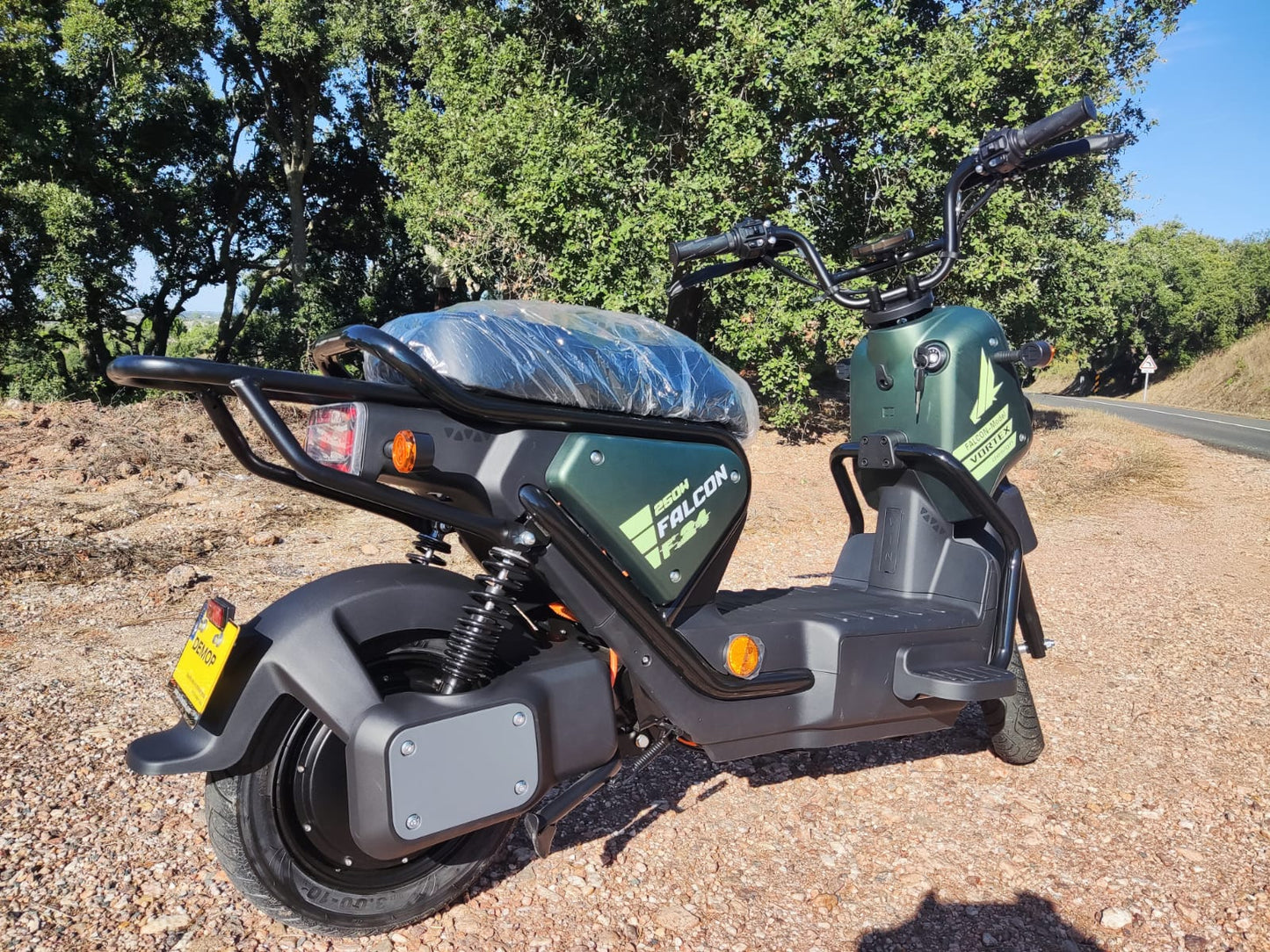 Vortex Goose - FALCON 250W (SLA Battery) 