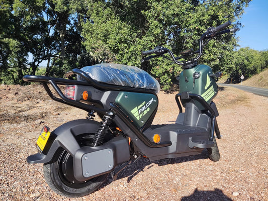 Vortex Goose - FALCON 250W (Bateria de SLA)