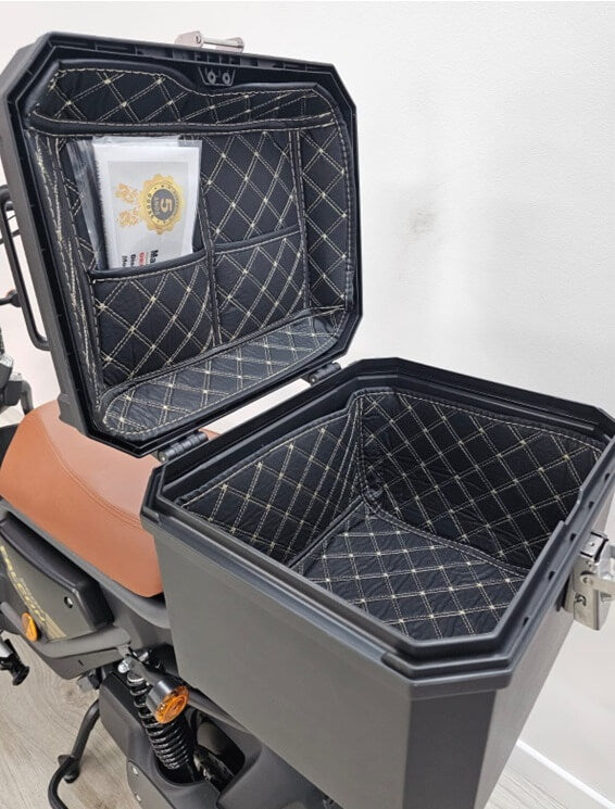 Vortex Goose - FALCON 250W (SLA Battery) 