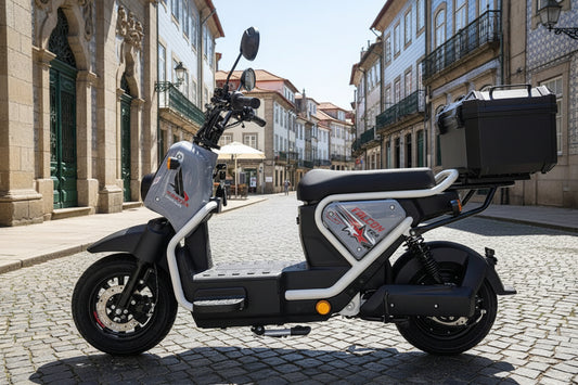 Vortex Goose - FALCON 250W (Bateria de Lítio)