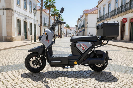 Vortex Goose - FALCON 250W (Bateria de Lítio)